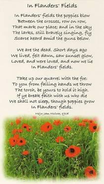 Flanders Fields Poem with Poppies