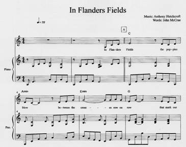 In flanders field poem essay
