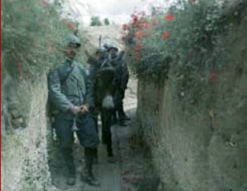 Flanders Trench - With Poppies